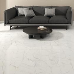 MS International Rendall Polished Astoria 24 X 24 Porcelain Floor And