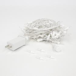 Philips 100-Light Warm White Slow Fade Smooth Mini Christmas