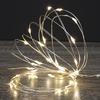Enchanted Forest® 30-Light Warm White LED Battery-Operated Christmas Fairy Light Set