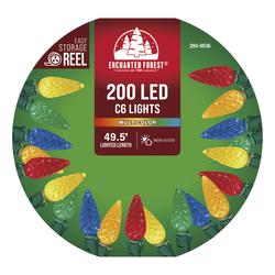 Enchanted Forest® 200-Light Multicolor C6 Christmas String Light
