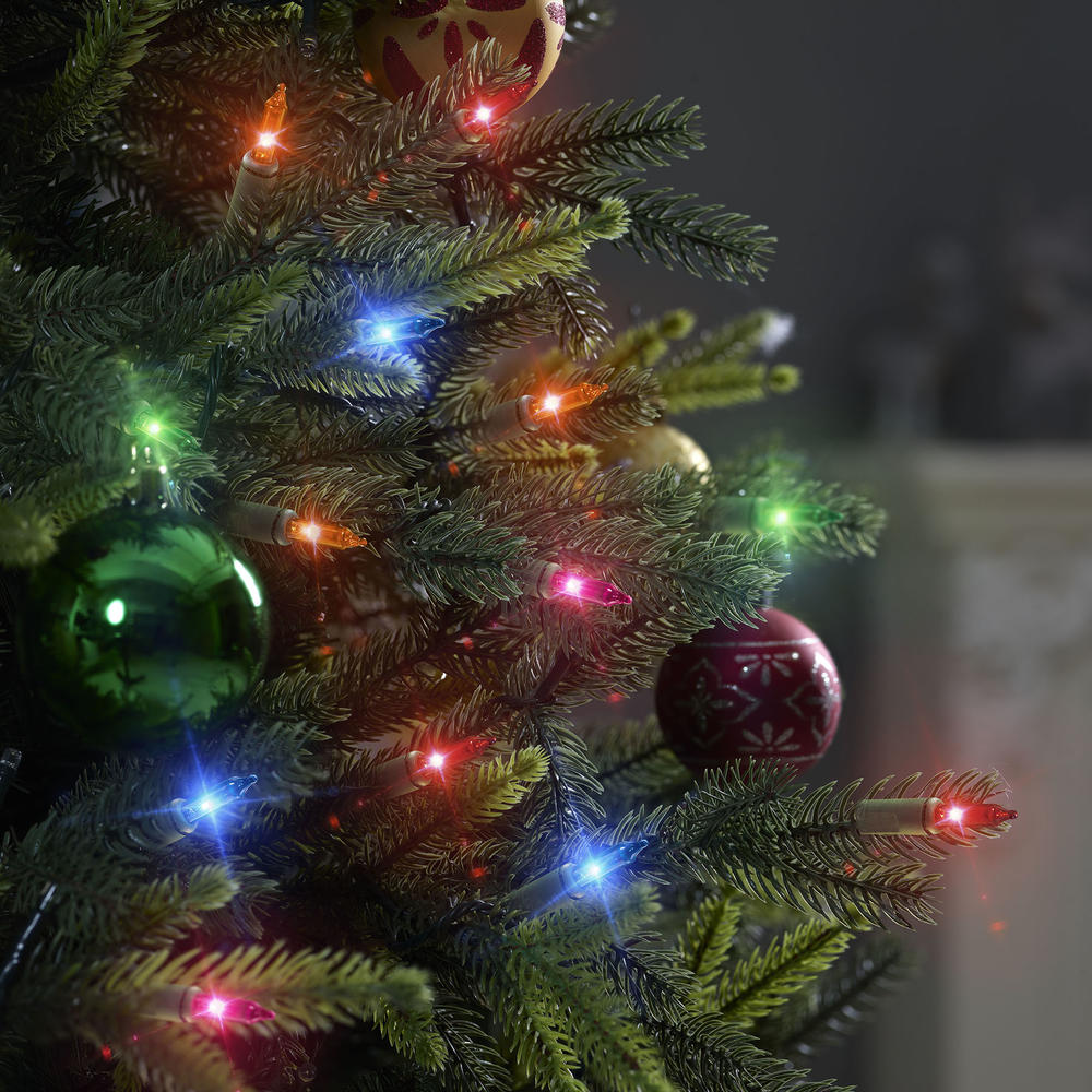 Enchanted Forest® 100-Light Multicolor Mini Christmas String Light Set