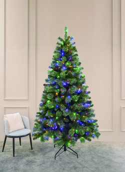 d5637c3a-2ddc-4f01-a09a-