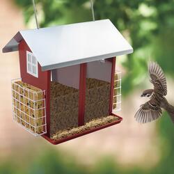 Menards bird clearance feeders