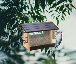Menards bird feeders discount