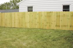 Menards dog 2025 ear fence