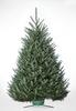 Fresh-cut Fraser Fir Christmas Tree 5'-6'