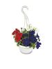 10" Select Hanging Basket - Assorted Varieties