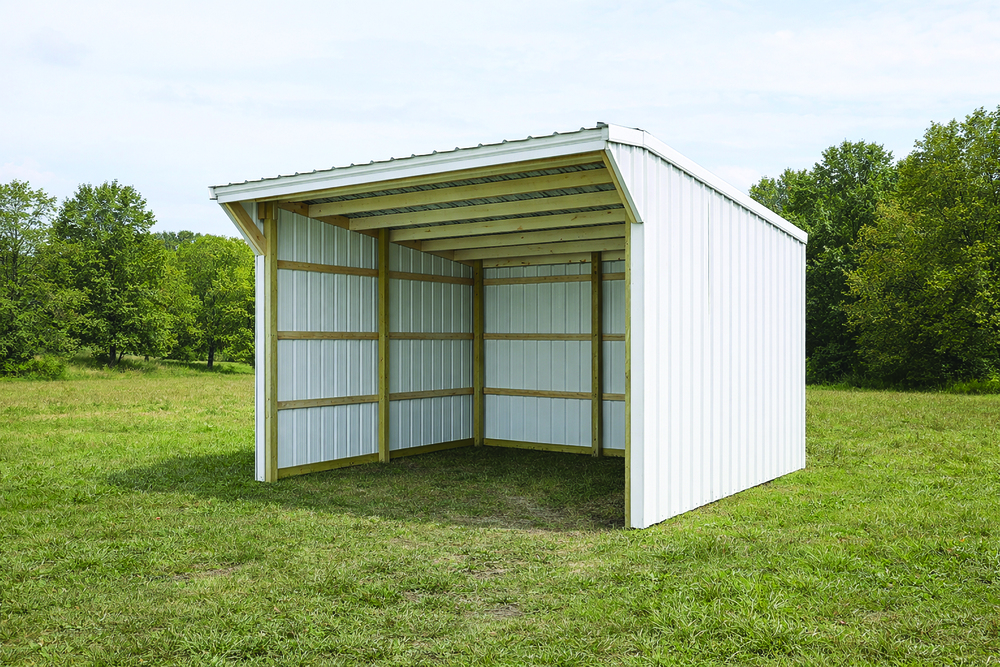 White horse shelter