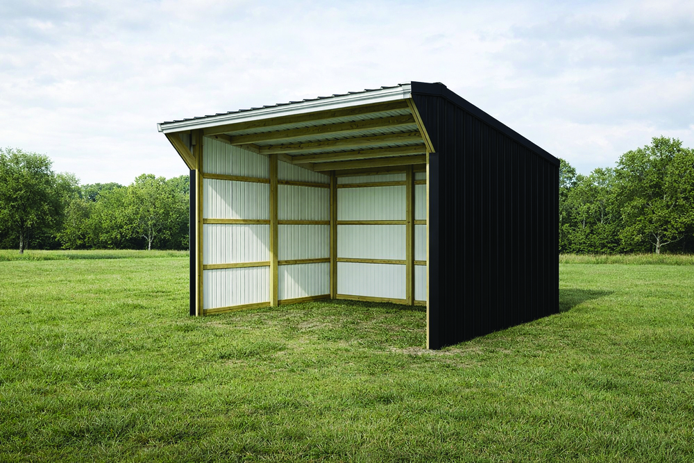 Midnight black horse shelter