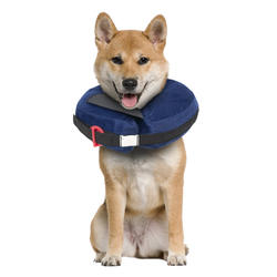 Calm Paws Inflatable Dog Protective Collar - Medium at Menards®