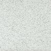 Armstrong Flooring™ Standard Excelon Rave White Out 12 x 12 Commercial Vinyl Composition Tile