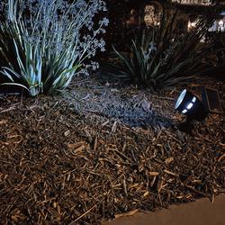 Patriot Lighting® Low Voltage LED Flood Landscape Light at Menards®