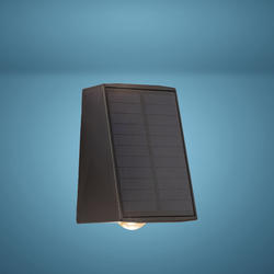Patriot Lighting® Tobin Black Dusk to Dawn Solar LED Outdoor Security Light - 2 Pack