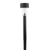 Patriot Lighting® Solar Integrated LED Frisco Black Landscape Light
