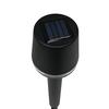 Patriot Lighting® Solar LED Vista Path Landscape Light