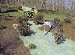 QuickGrass Pro 2.5 x 56 Erosion Control Blanket at Menards