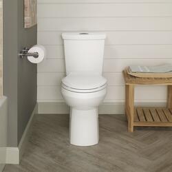 Eljer Diplomat™ 2-Piece Dual Flush White Tall Elongated Toilet At Menards®