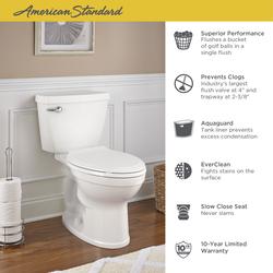 Toilet Buying Guide at Menards®