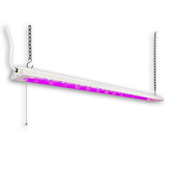 Shop Lights at Menards