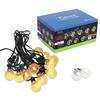 Patriot Lighting® 24' 12-Light LED String Light