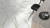 Ellis + Fisher® Nuvola Calacatta 12 x 24 Matte Porcelain Floor and Wall Tile