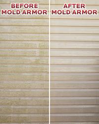 Mold Armor® E-Z House Wash™ - 160 oz. at Menards®