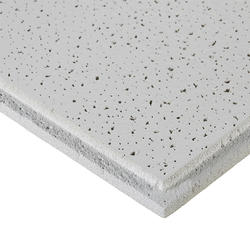 Armstrong® Ceilings Fine Fissured™ 2' x 2' White Textured Angled ...