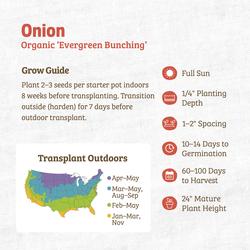 Back to the Roots® Organic 'Evergreen Bunching' Onion at Menards®