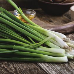 Back to the Roots® Organic 'Evergreen Bunching' Onion at Menards®