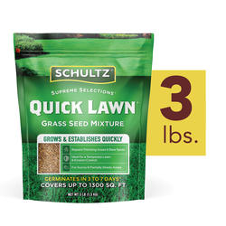 Menards outlet grass seed