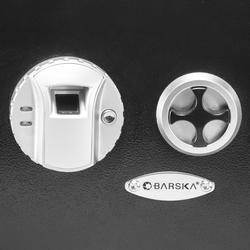 Barska® 0.52 cu ft Biometric Wall Safe at Menards®