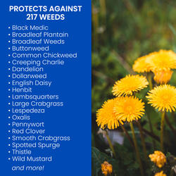 BioAdvanced® Ready-to-Spray All-In-One Lawn Weed & Crabgrass Killer ...