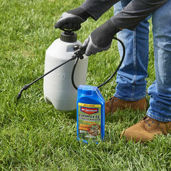 BioAdvanced® Complete Concentrate Lawn Insect Killer - 40 Oz. At Menards®