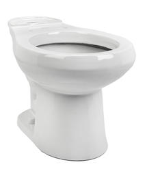 Toilet Buying Guide at Menards®