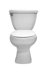 Toilet Buying Guide at Menards®