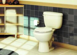 Tapa WC Briggs King Elongated