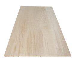 3/4 x 2 x 4 ACX Sanded Plywood Handi-Panel at Menards®