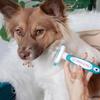 Paws & Pals Deshedding Brush