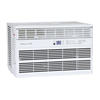 Denali Aire® 8,000 BTU 115-Volt Window Air Conditioner