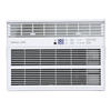 Denali Aire® 10,000 BTU 115-Volt Window Air Conditioner
