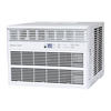 Denali Aire® 10,000 BTU 115-Volt Window Air Conditioner