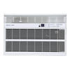 Denali Aire® 18,000 BTU 230-Volt Window Air Conditioner