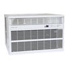 Denali Aire® 18,000 BTU 230-Volt Window Air Conditioner