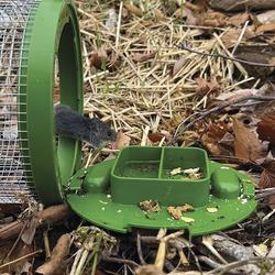 Billy Bob Mouse Trap: Humane Multi-Catch Mouse Trap!, 1 set - Kroger