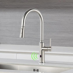 Rainlex® MotionSense One-Handle Pull-Down Brushed Nickel Kitchen Faucet ...