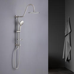 Rainlex® One-Handle Brushed Nickel Shower System with Handheld ...