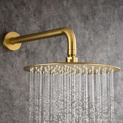 Rainlex® One-Handle 1-Spray Brushed Gold Shower Faucet at Menards®