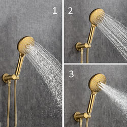 Rainlex® One-Handle 1-Spray Brushed Gold Shower Faucet at Menards®