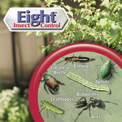 Bonide® Eight® Ready-to-Use Garden & Home Insect Killer - 128 oz