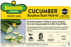 Bonnie Plants® Burpless Bush Cucumber - 2.32 Quart at Menards®